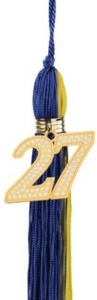 20 tassel w bling